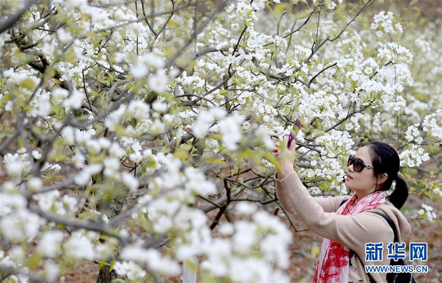 江西新余:自动化育秧助力农业提质增效