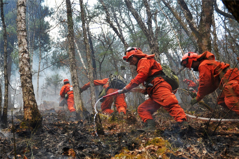 甘肃迭部森林火灾明火显著减少(1)_滚动图片 _光明网