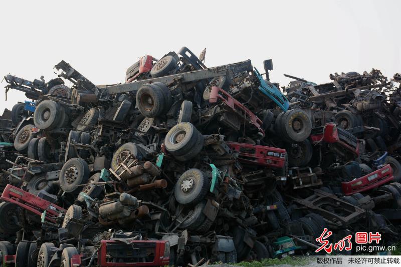 聊城 当日,在山东聊城一废旧汽车回收处"汽车屠宰场,现场被拆卸汽车