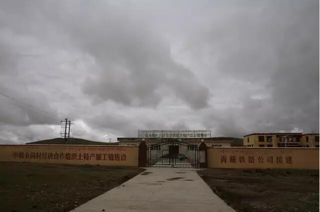 青藏铁路公司在这个村干了啥?