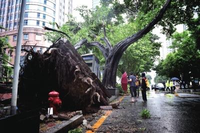 台风掠过广东未有伤亡报告 进入广西途经地震