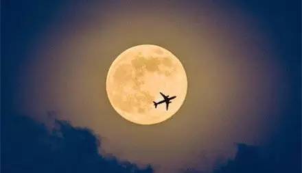 光明晚报:京东回应 数据疑似泄露 孙继海申请退