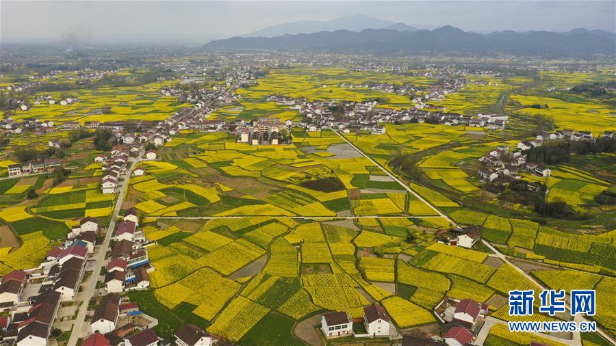 江西新余:自动化育秧助力农业提质增效