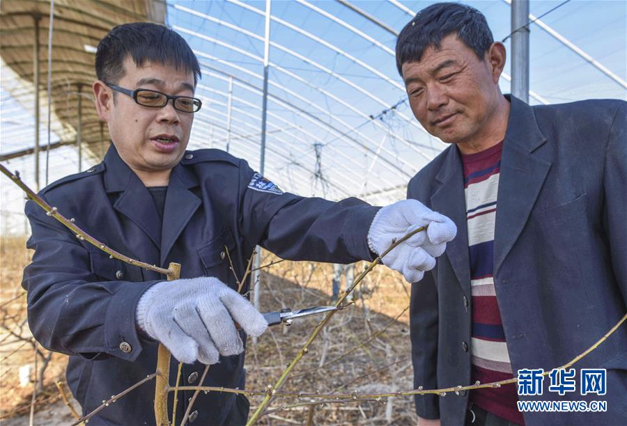 江西新余:自动化育秧助力农业提质增效