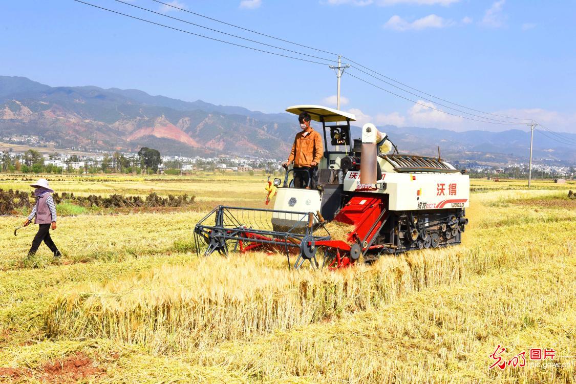 郭台铭参选2020是否影响鸿海集团营运？公司回应