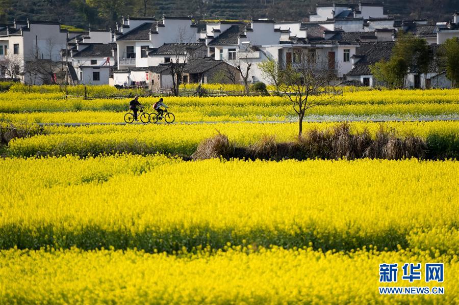 新疆和田地区皮山县发生3.1级地震 震源深度10千米