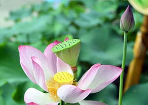 陕西宁强发生山体坍塌致5人遇难 坍塌原因调查中