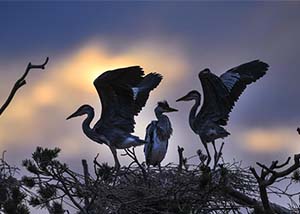 陕西宁强发生山体坍塌致5人遇难 坍塌原因调查中