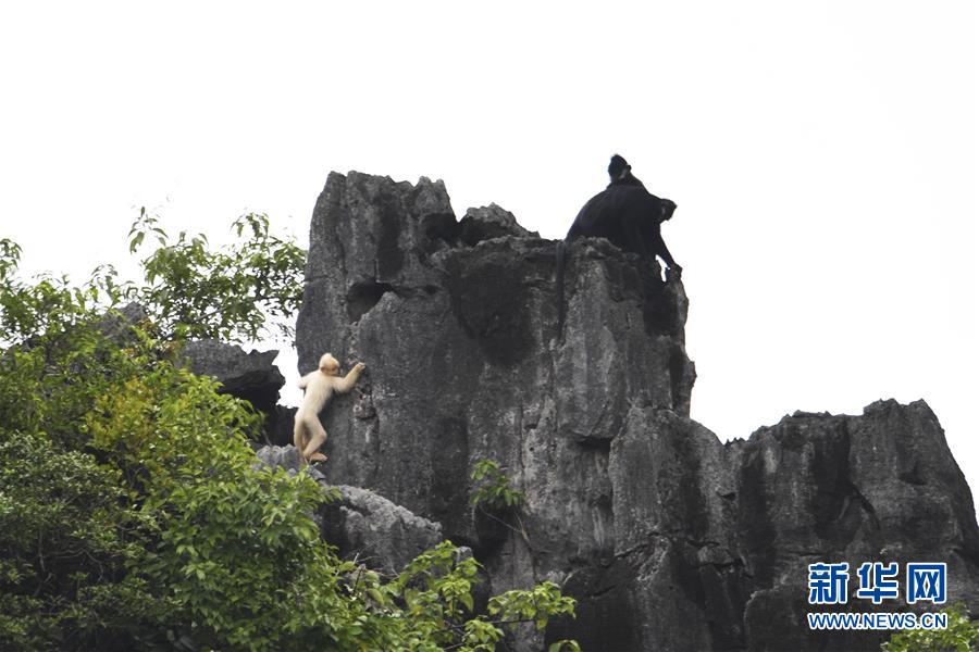 英国首相就涉港问题发表言论 耿爽：我今天姑且克制一些