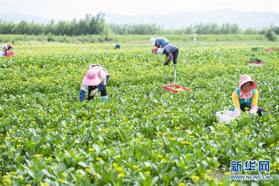 浙江安吉：探索村医本地化培养模式