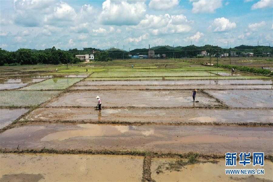 浙江安吉：探索村医本地化培养模式