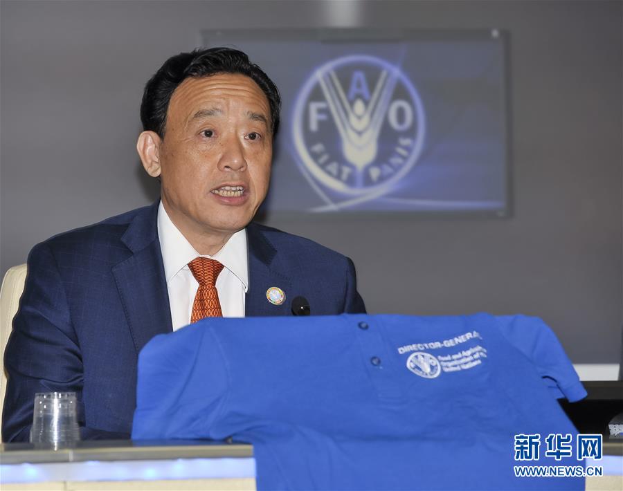 河南民权：林下经济助农增收