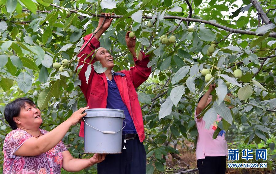 以“绿色”身姿站上发展前沿