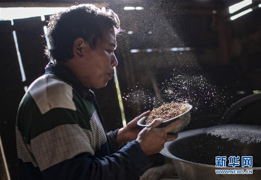 福建桔林乡:江畔层林尽染(最新发布)