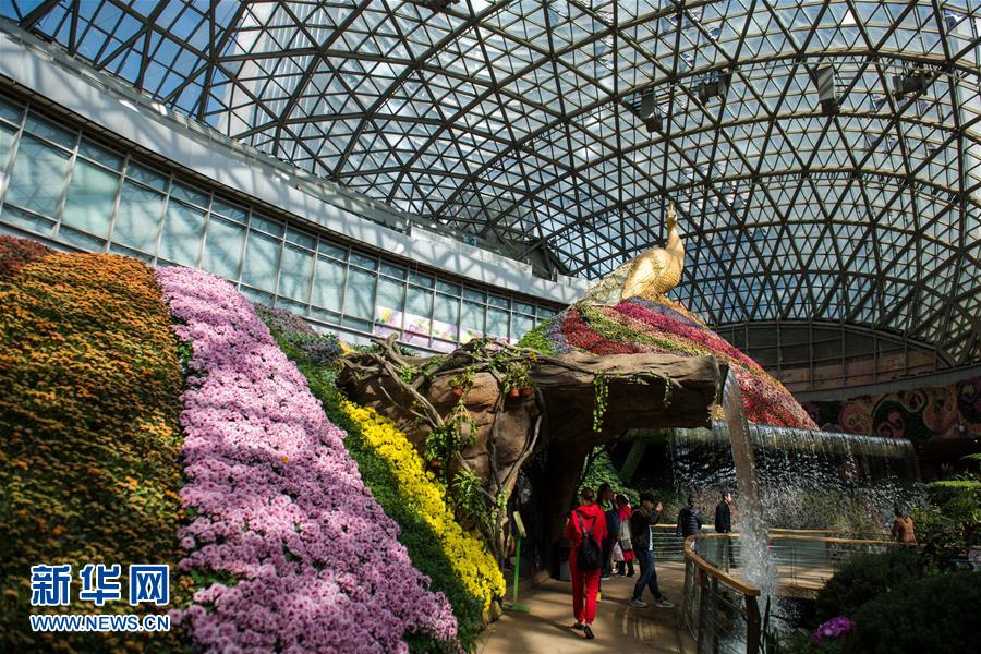 河北滦州:冬日植桑忙(最新发布)