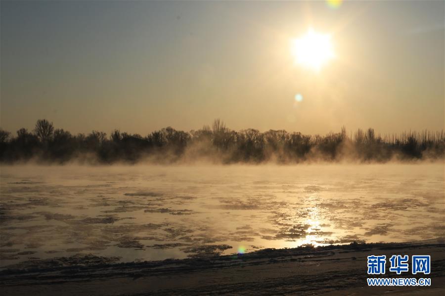 寻爱(宁夏)(最新发布)