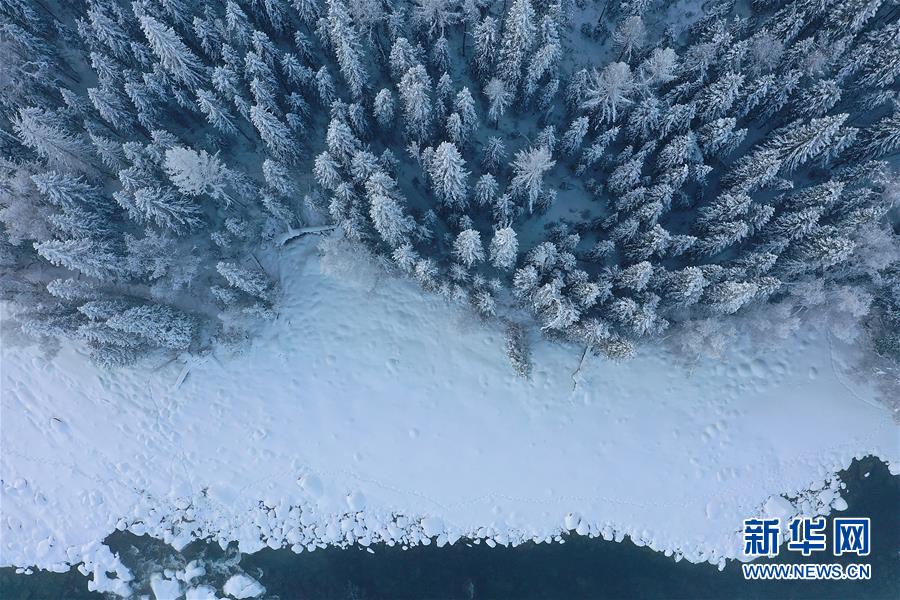 寻爱(宁夏)(最新发布)