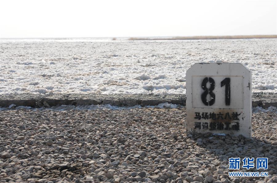 寻爱(宁夏)(最新发布)