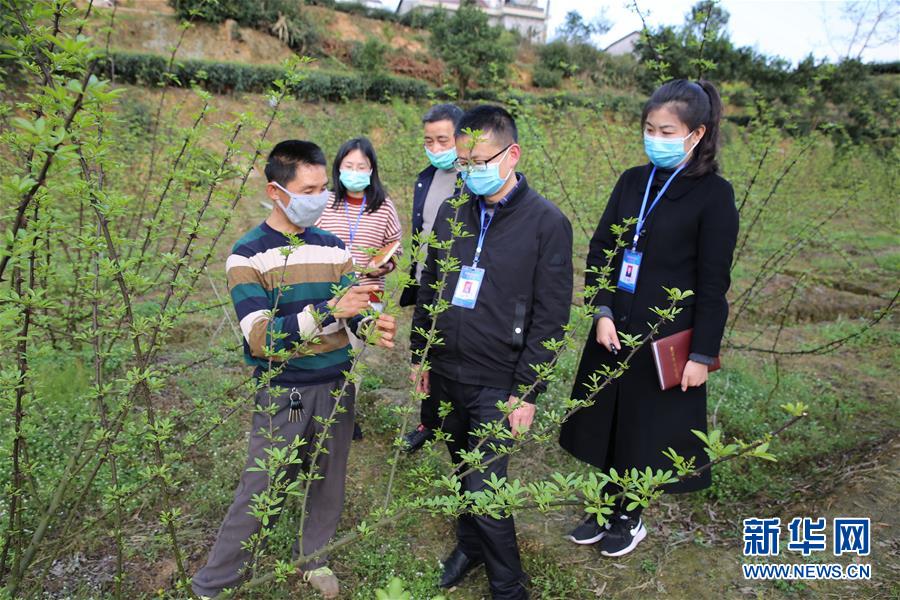 上海商業逐漸復甦(最新发布)