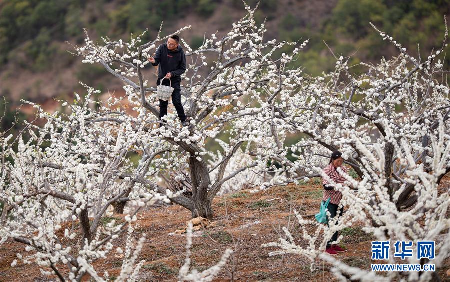 杭州迎湖北恩施首批赴杭复工人员（最新发布）