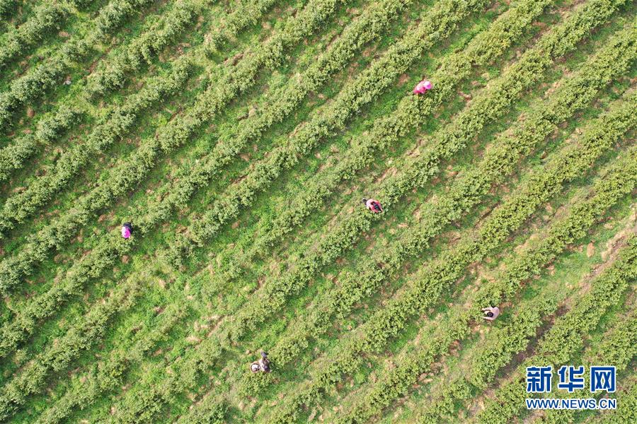 杭州迎湖北恩施首批赴杭复工人员(最新发布)