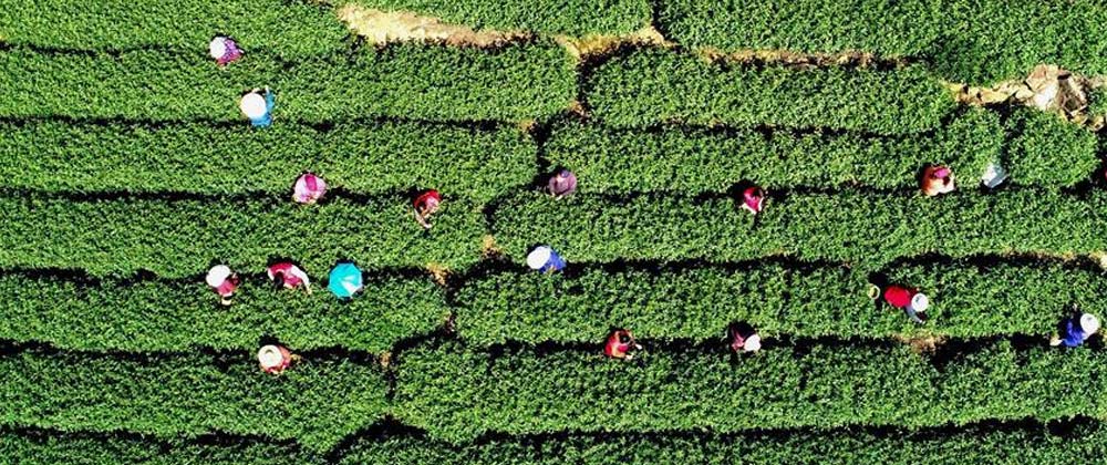 杭州迎湖北恩施首批赴杭复工人员（最新发布）