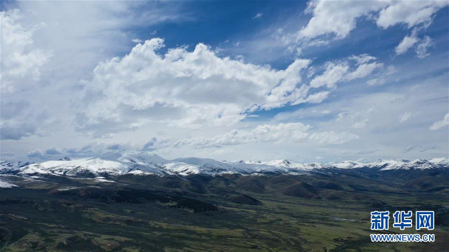 河北省中小学多年级六一复学(最新发布)