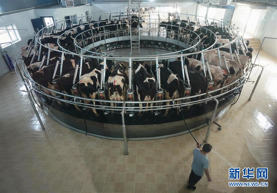 河北省中小学多年级六一复学(最新发布)