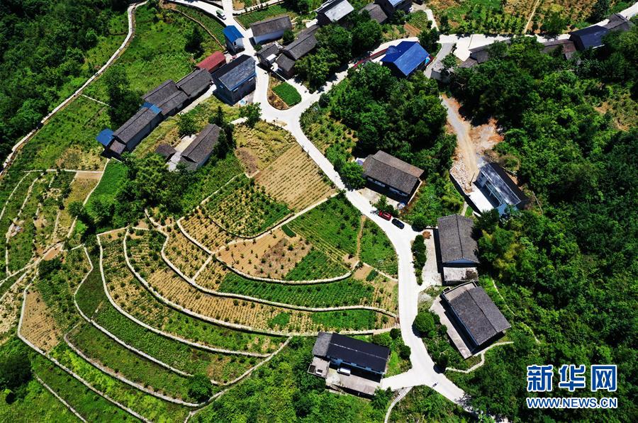 河北省中小学多年级六一复学(最新发布)