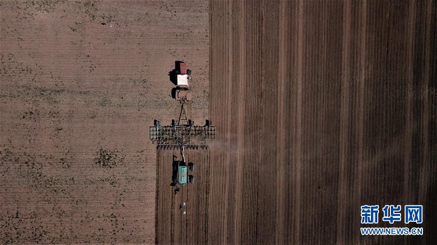 河北省中小学多年级六一复学(最新发布)