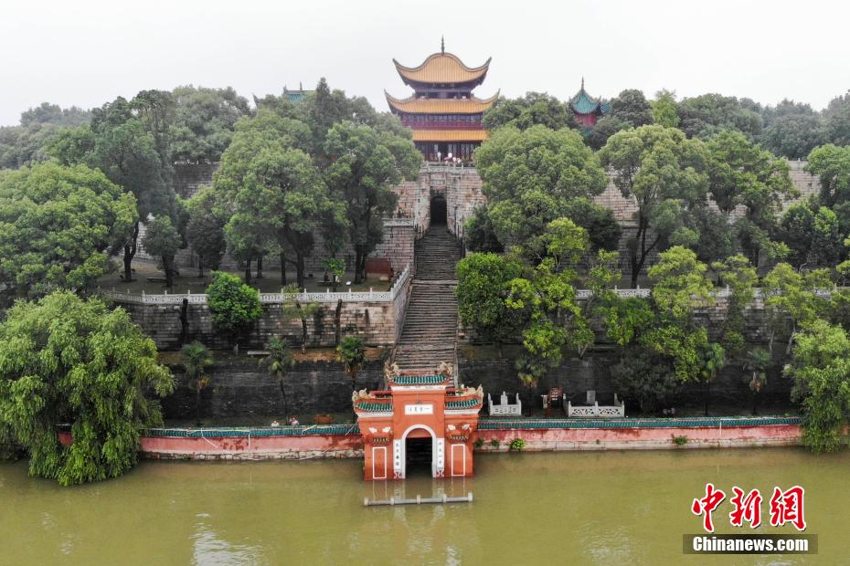 綻放（福建）（最新发布）