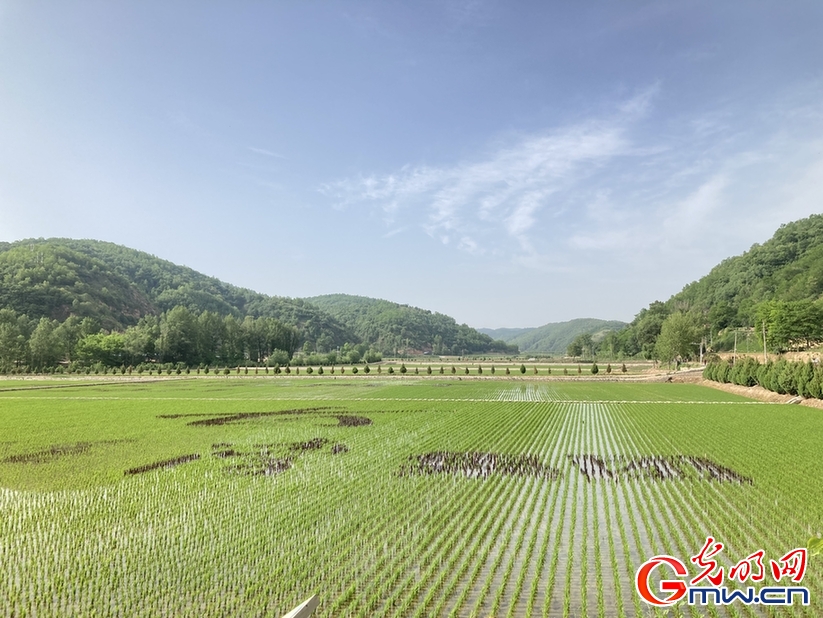 【走进红色美丽村庄】遍地是资源 处处有收益 南泥湾再变"陕北好江南"