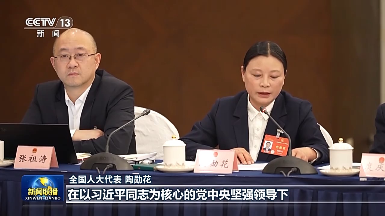代表委員議國是丨共同書寫中國式現代化建設新篇章