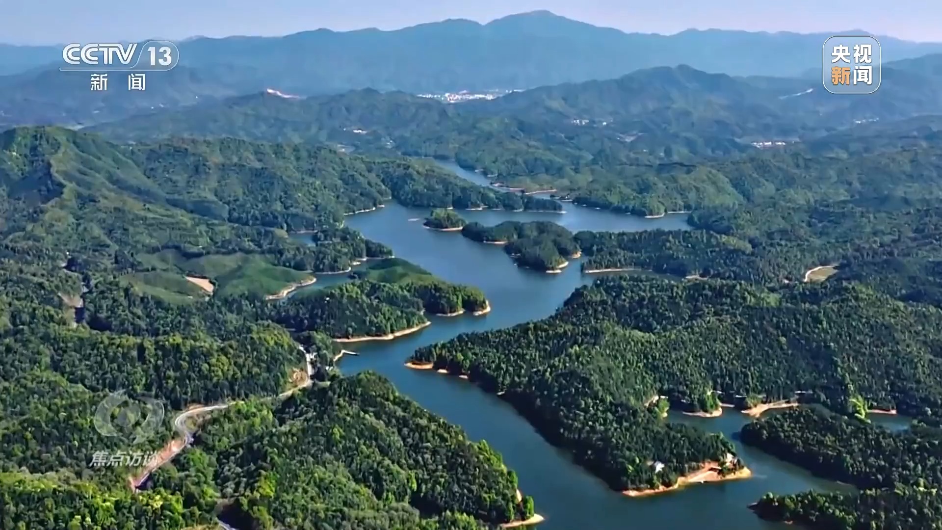 焦點訪談丨全民植樹增綠 共建美麗中國