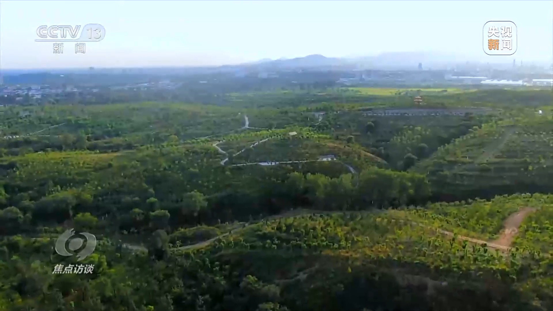 焦點訪談丨全民植樹增綠 共建美麗中國
