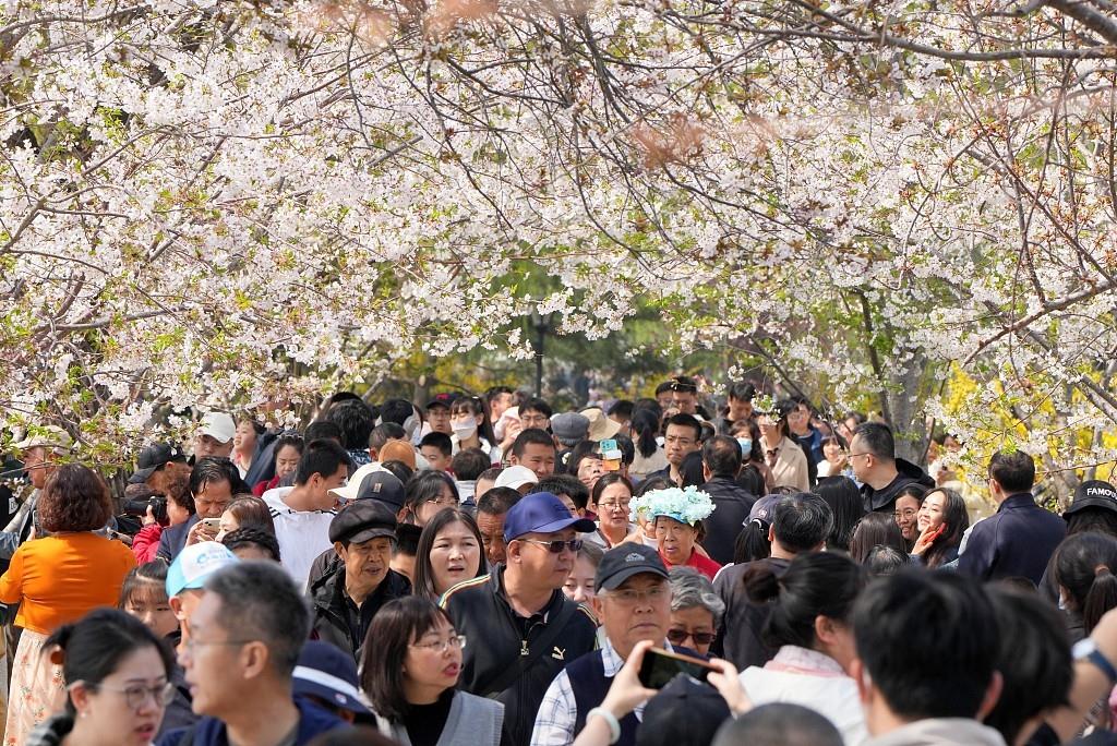 中國經濟信心說丨一路“繁花”！文旅消費拉動經濟“上春山”