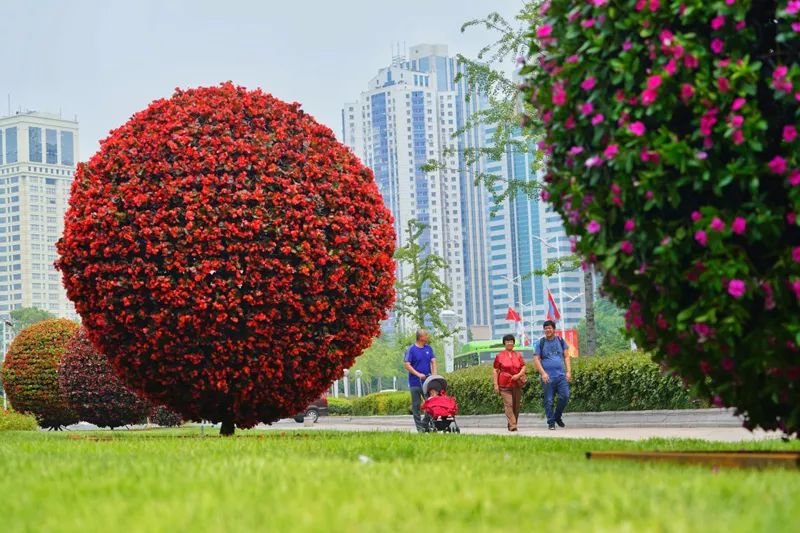 图集｜青岛欢迎你，上合