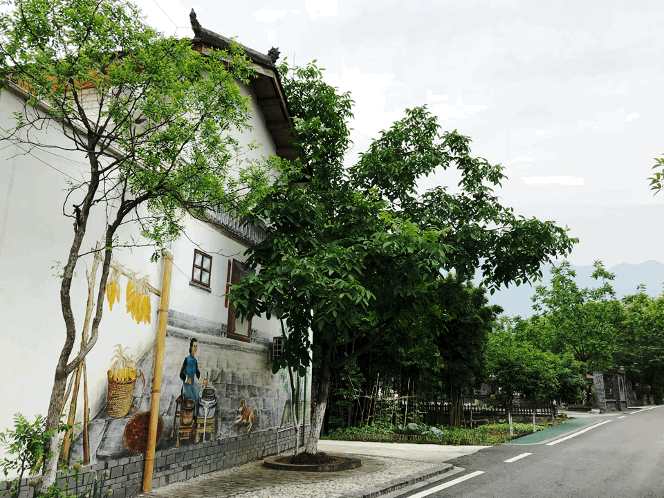 【汶川地震十周年】宜居宜业,棚花村的特色发展之路 【汶川地震十周年】宜居宜业,棚花村的特色发展之路