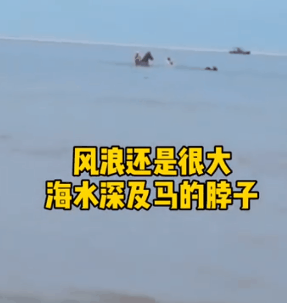 |你骑马救人的样子，像极了大侠！