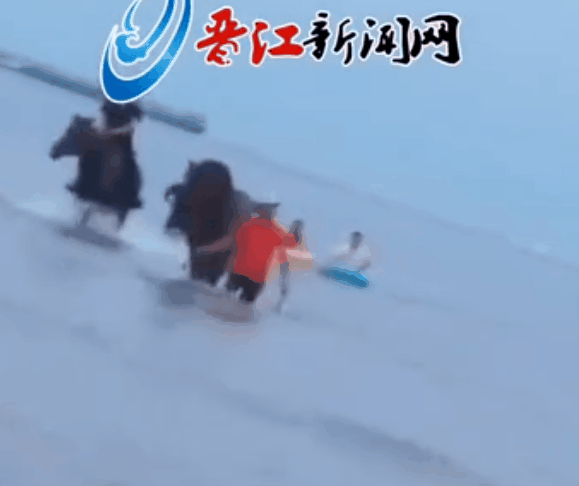 |你骑马救人的样子，像极了大侠！