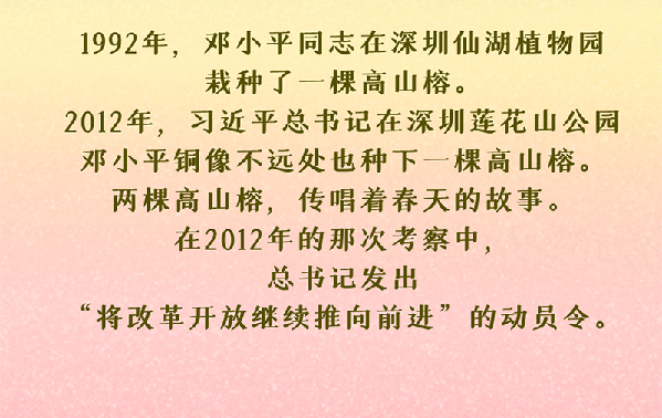 绘学习丨习近平与“树”的故事