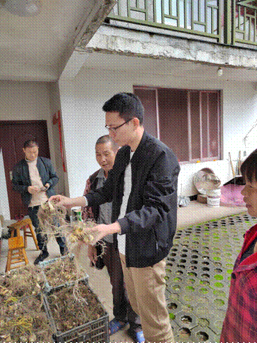 一起跨越看泰顺•共富故事丨村里来了“农博士” 从此“种田”有了“新”科技