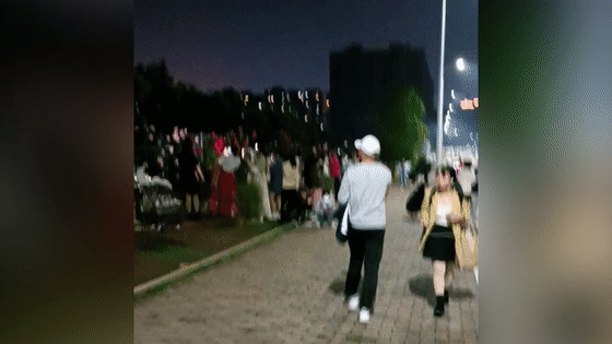 大学生在学校种出百米花墙！荒凉铁栅栏变网红打卡地