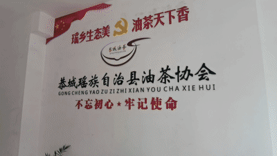 久久“功成” 看最年轻瑶族自治县的绿色蝶变