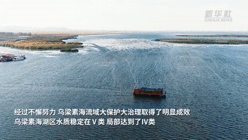 江河奔腾看中国·黄河行丨内蒙古乌梁素海重现“塞外明珠”美景
