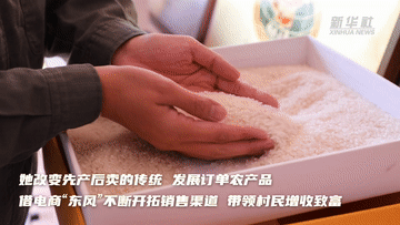 返乡创业青年陈雨佳：带领农户种好米卖好粮