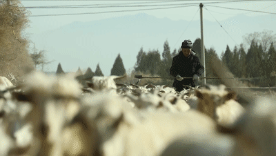 步履｜振兴之路