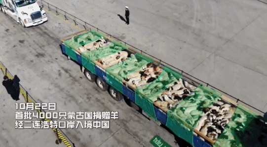 时政特稿·行大道丨国之交在于民相亲