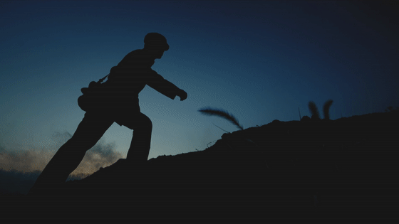 英雄之光丨橄榄树下,酿酒等你70年……