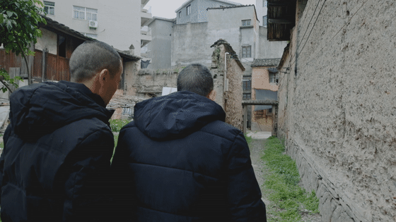 英雄之光丨橄榄树下,酿酒等你70年……